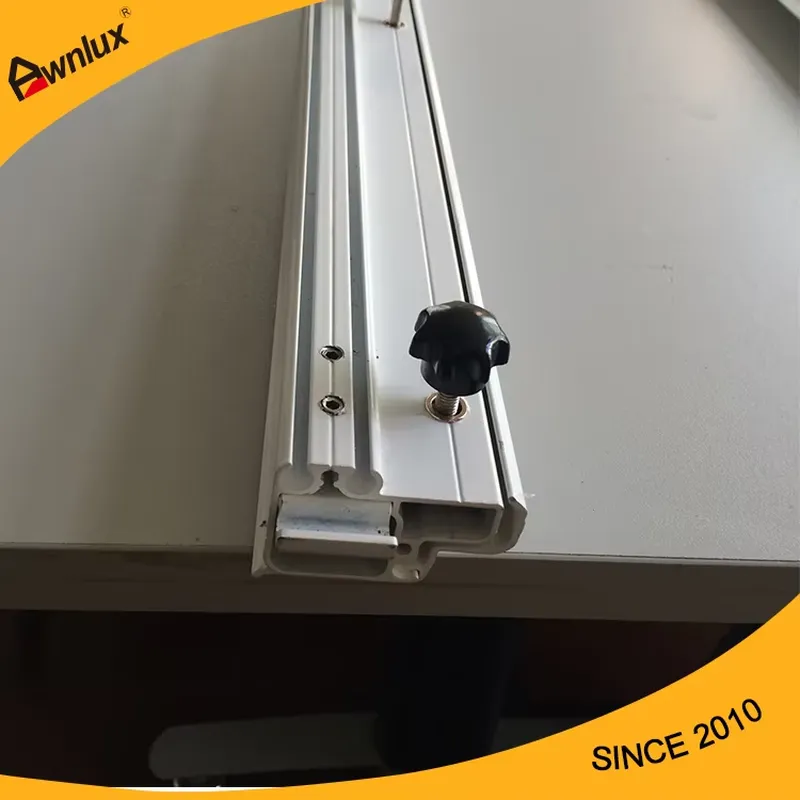 Car Awning Tent Caravan Access - Car Accessories Kit 评论和价格