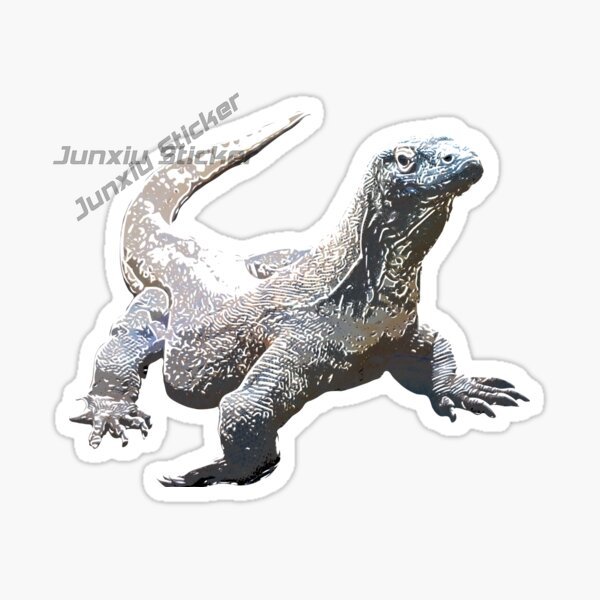 Komodo National Park Komodo Is - Car Accessories Bali 评论和价格