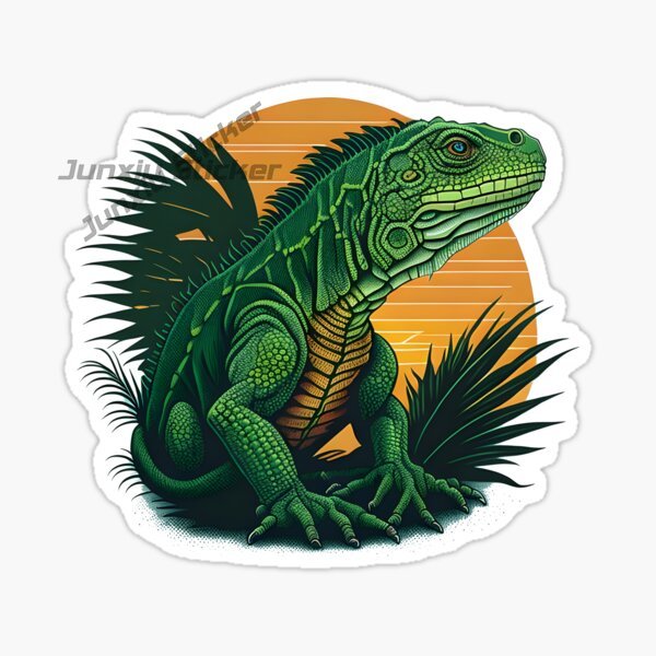 Komodo National Park Komodo Is - Car Accessories Bali 评论和价格
